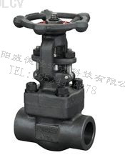 鍛鋼閘(zha)閥 Z61Y、Z61H