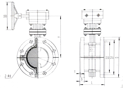 襯氟(fu)蝶閥結(jie)構示意(yi)圖