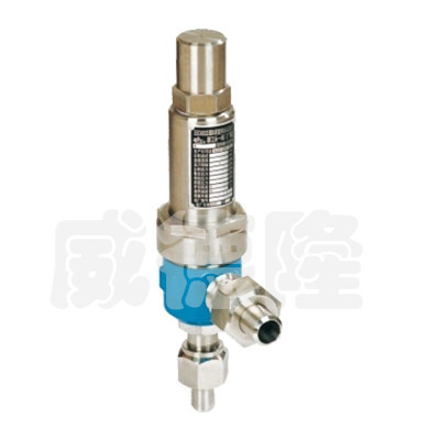 焊接彈(dan)簧微啟(qǐ)式安全(quan)閥A61H/Y-160/320