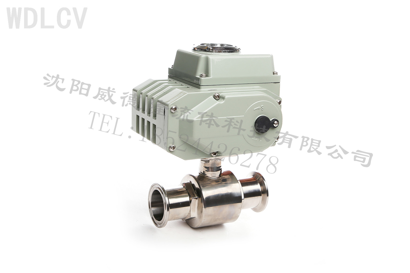 衛生級(jí)電動球(qiú)閥 WDLQ981F