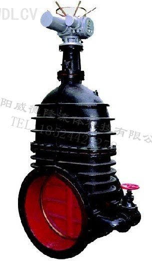 鑄(zhù)鐵電動(dong)暗杆閘(zhá)閥 WDLZ941T-10 